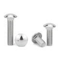 Carriage Bolts Stainless steel Bolt Round Head Bolt